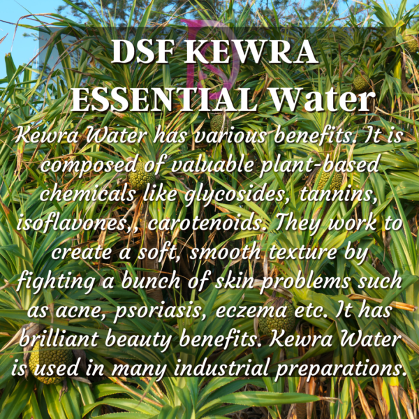 Kewra Water – Pure & Natural Hydrosol for Food and Wellness - Image 4