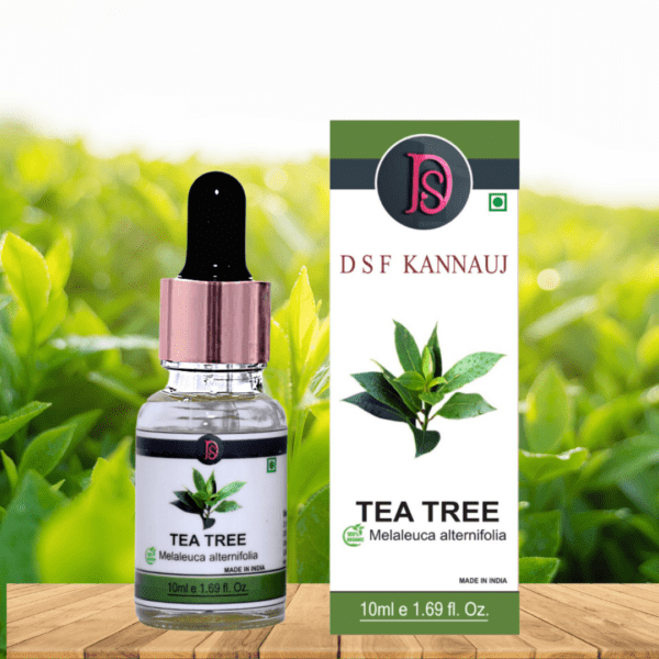 Buy 100% Pure Tea Tree Essential Oil – Aromatherapy, Skin & Hair Care | DSF Kannauj